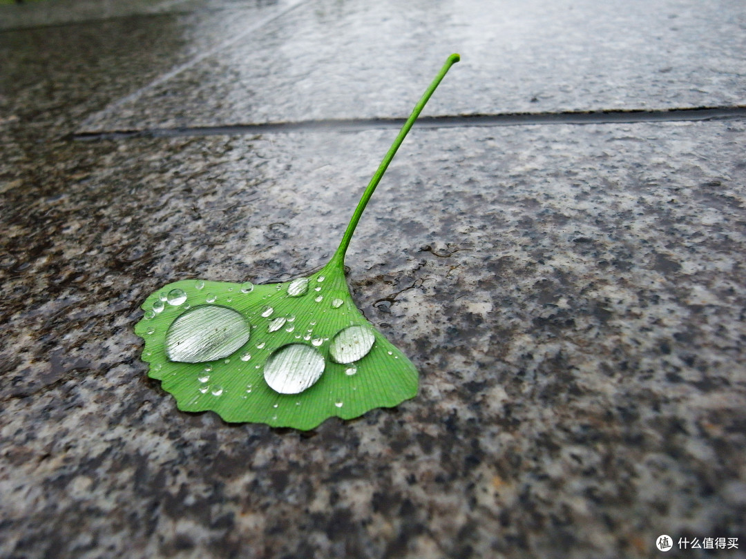 卡片机中的战斗机—Ricoh 理光 GX200