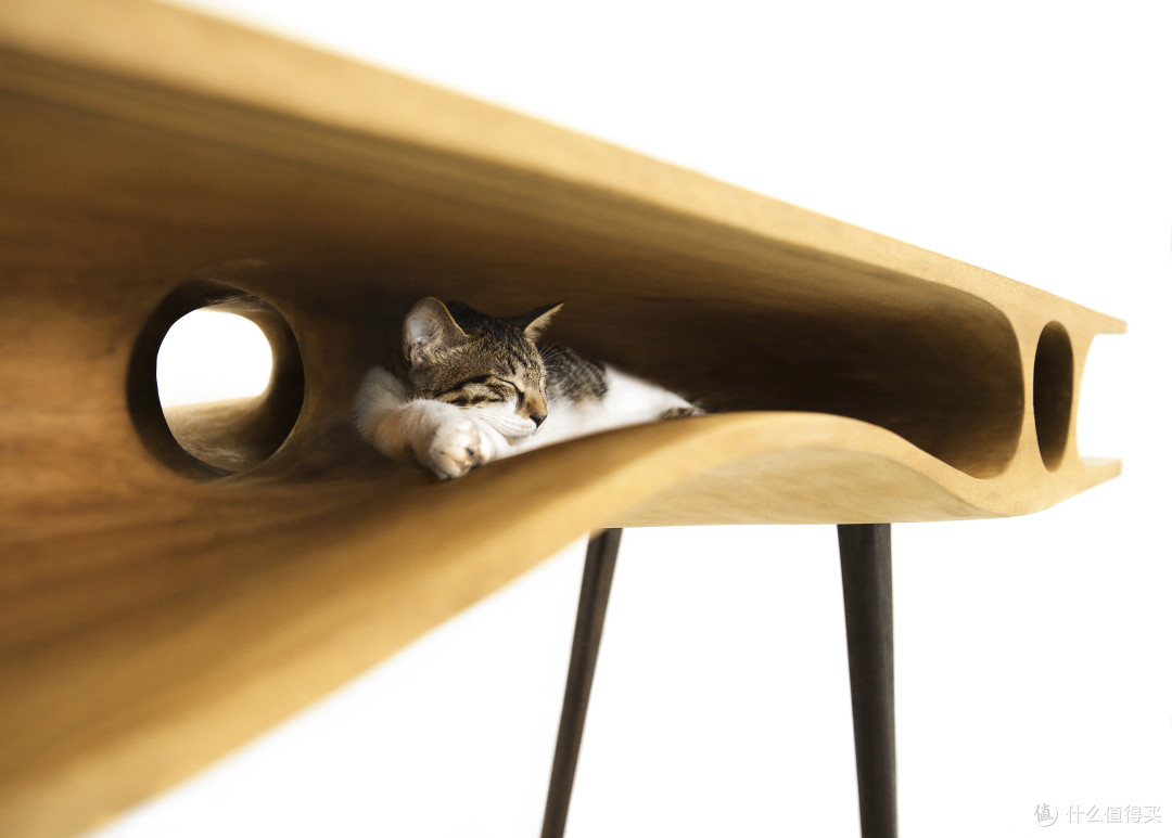 桌内托喵所:CATable猫桌 登陆Fancy开卖 亲民版今后带来