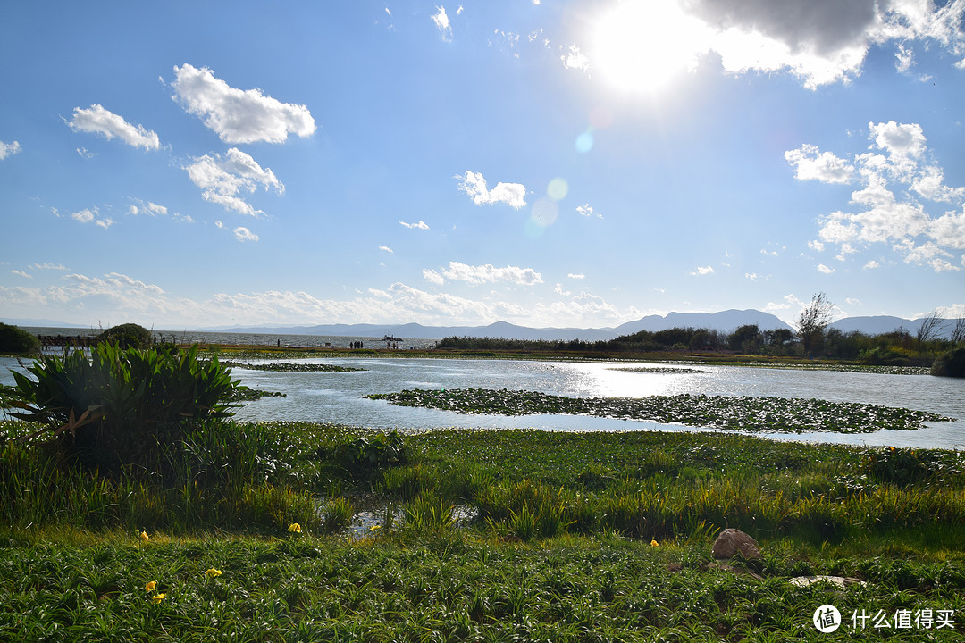 一镜走天下：SIGMA 适马18-250mm F3.5-6.3长焦镜头