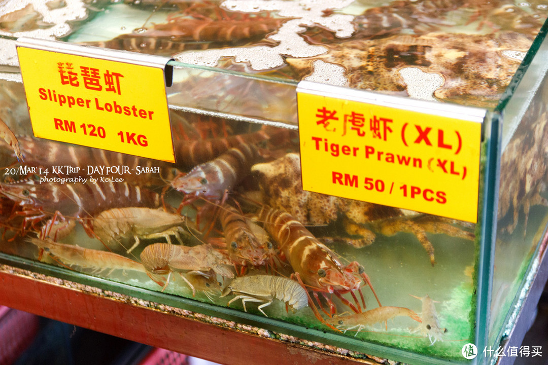 香港&沙巴记，这不是一场说走就走的旅程