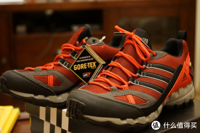 adidas 阿迪达斯 AX1 GTX 男款户外徒步鞋