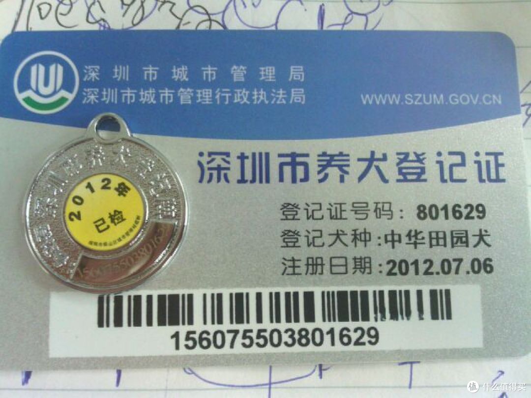 我家有狗初长成:记录我与旺旺的点点滴滴