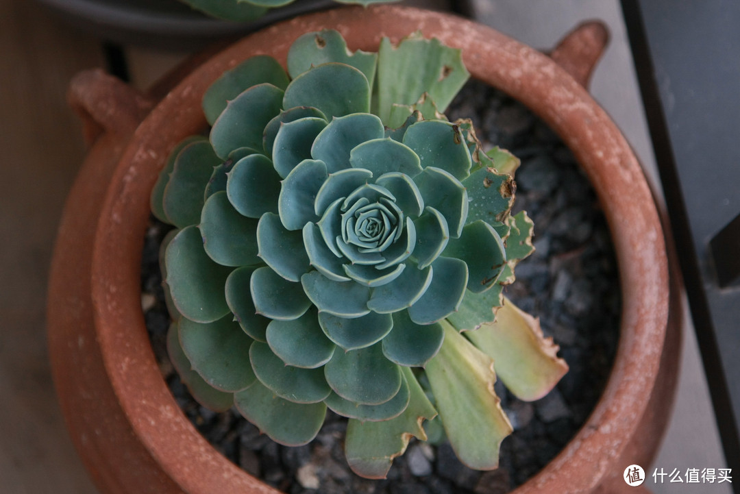 少谈经验，且看成果！老白的“花间” — 晒晒我家的装修