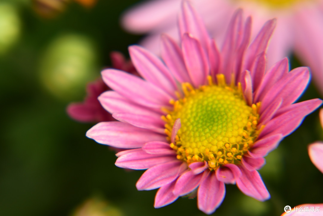 不求最好，只求最值：Nikon 尼康 D750 单反相机 简评及配件点点兵