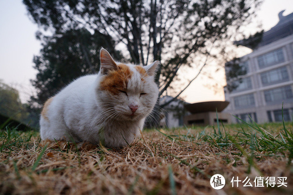 及目之远：Zeiss 蔡司 Touit 2.8/12 镜头 伪开箱