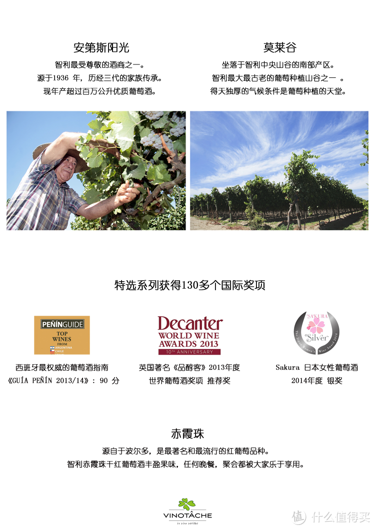 来自美洲的佳酿--安第斯阳光酒园:赤霞珠干红葡萄酒