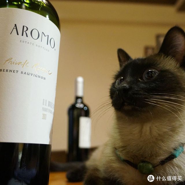 一切为了Big！——安第斯阳光酒园 特选赤霞珠干红葡萄酒