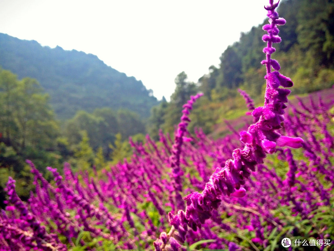 属“小白”的第一款相机：FUJIFILM 富士 X100S 旁轴数码相机