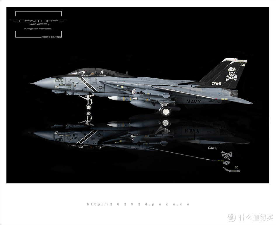 以猫之名：Century Wings 美国空军 骷髅猫 F-14A VF-84 AJ200 1991