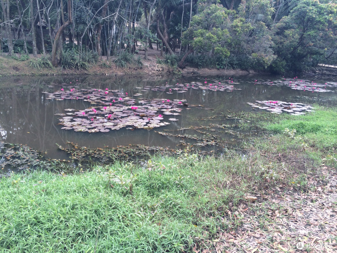 海南东线冬季骑行指南