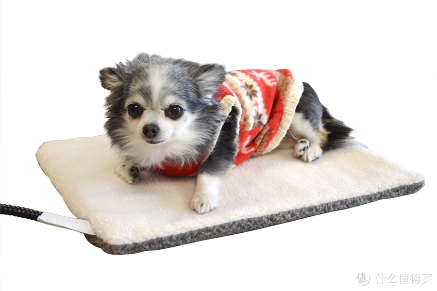 人不如喵系列：日本 Thanko 公司推出 宠物专用电热毯 恒温30度不上火