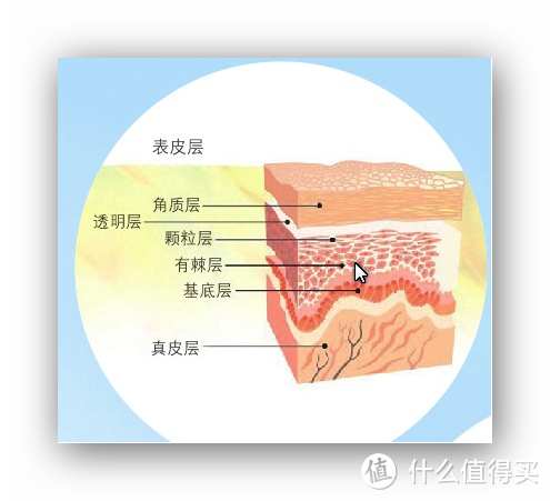 为了让玉足重现天日，终于下定决心当了小白鼠——爽键足部滋润柔肤霜评测