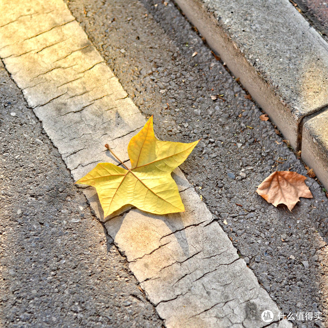 Nikon 尼康 AF 50mm/1.8D 定焦镜头