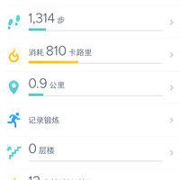 Fitbit Charge 智能手环使用感受(充电|连接|通知|功能|做工)