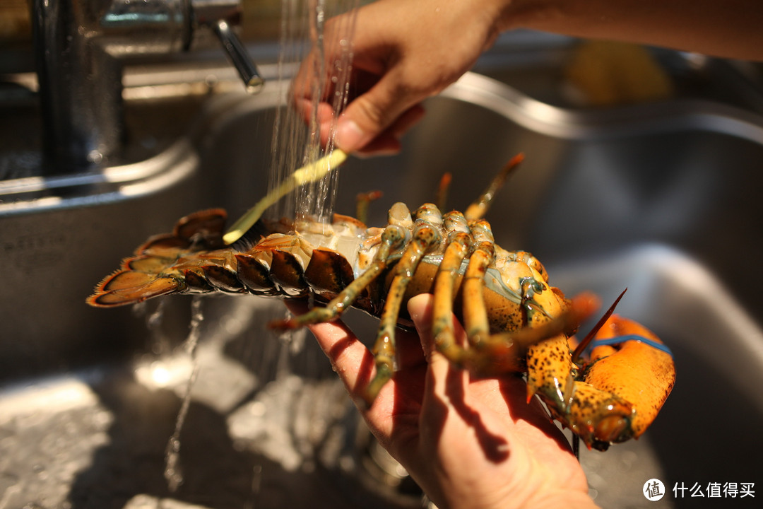 波士顿 活龙虾 烹饪过程