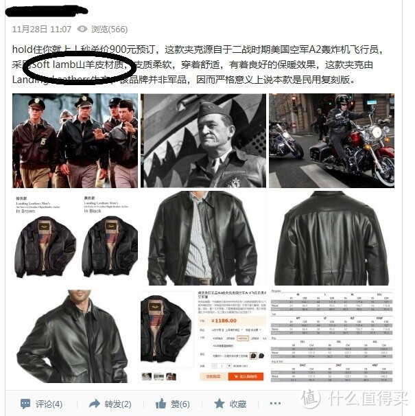 一次失败的皮衣海淘代购记：Air Force A-2 Flight Leather Bomber Jacket