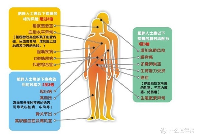 运动不息，健康监测：小米手环 使用记