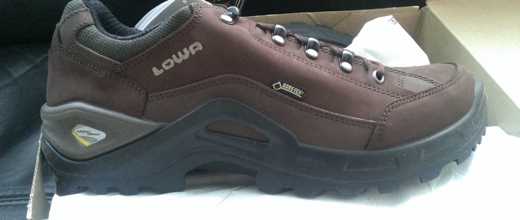 lowa renegade 2 gtx low