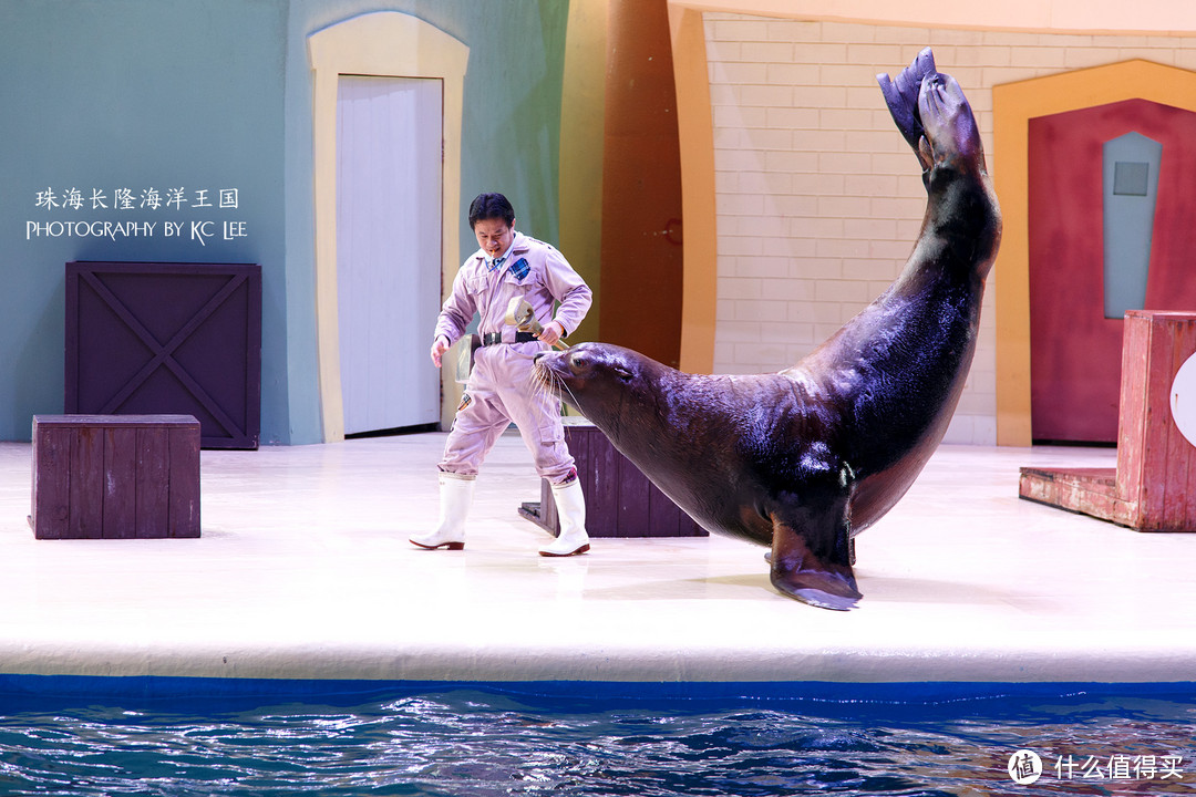 The Amazing Aquarium：珠海长隆海洋王国