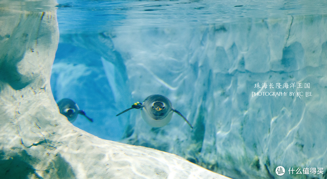 The Amazing Aquarium：珠海长隆海洋王国