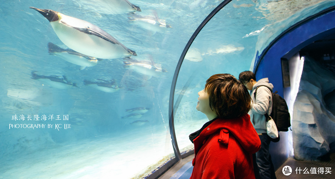 The Amazing Aquarium：珠海长隆海洋王国