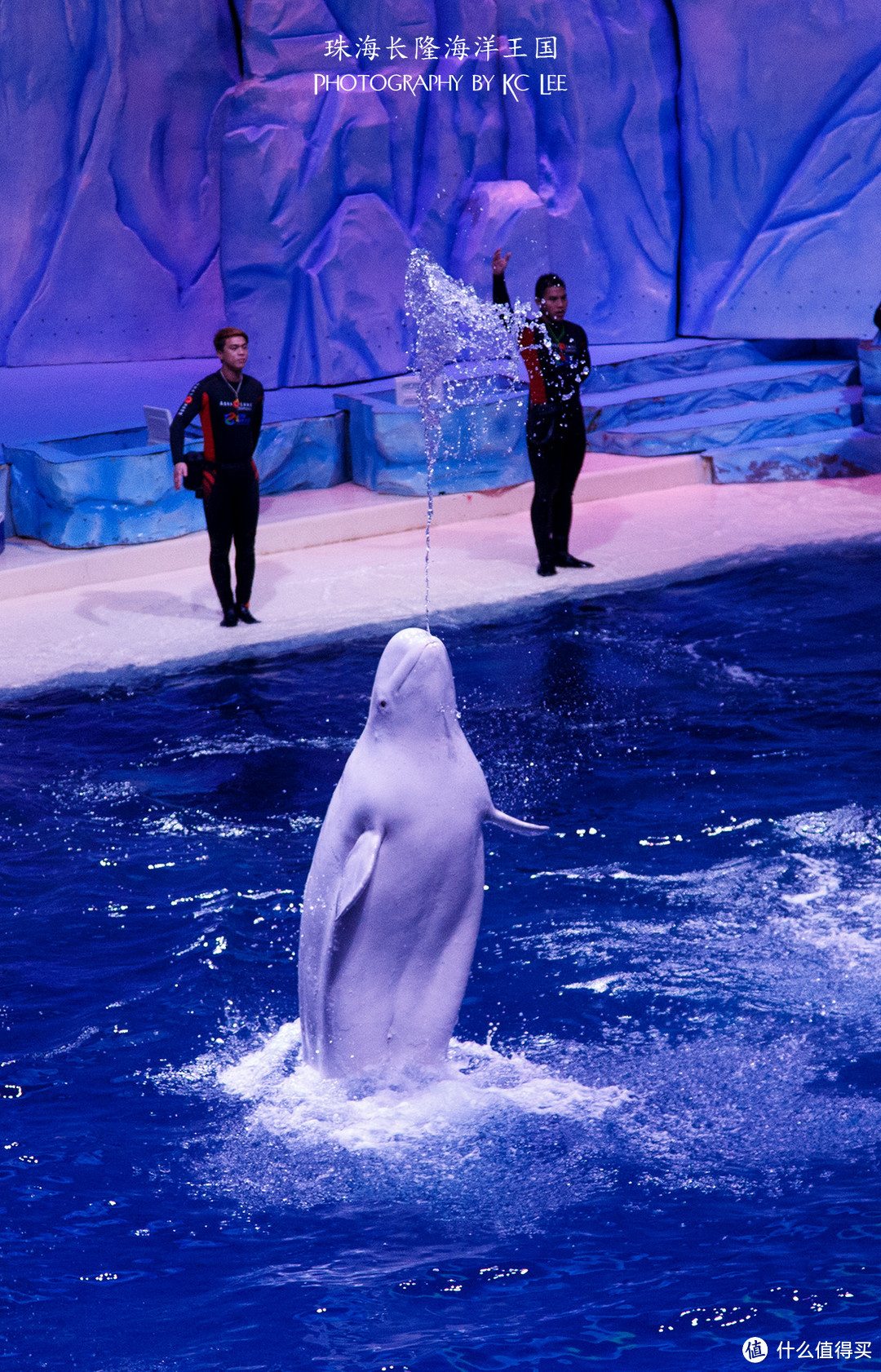 The Amazing Aquarium：珠海长隆海洋王国