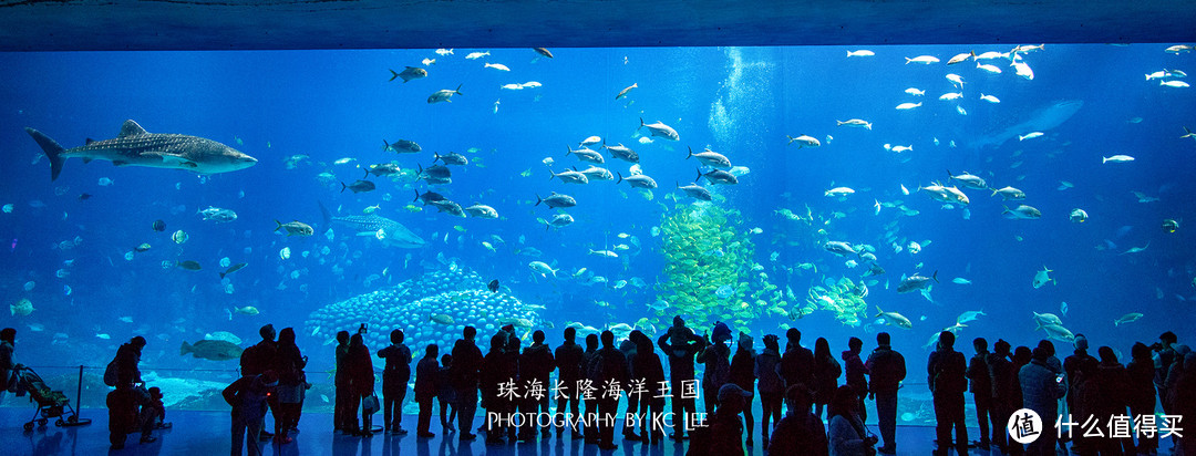 The Amazing Aquarium：珠海长隆海洋王国