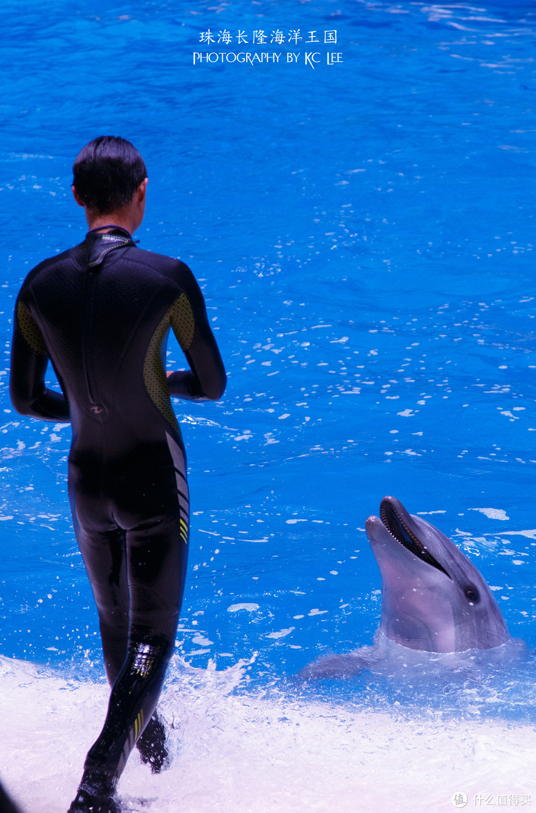 The Amazing Aquarium：珠海长隆海洋王国