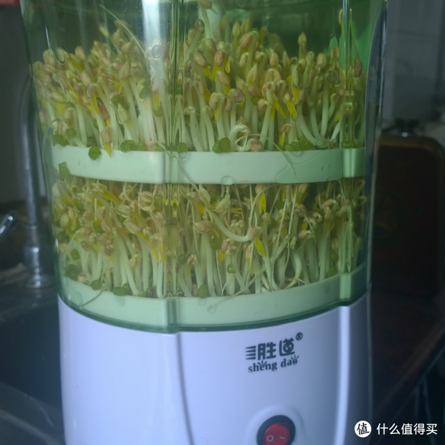 吃豆芽，自己发lol：胜道 双层 豆芽机