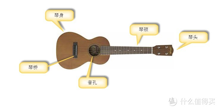 从零开始的 Ukulele 尤克里里之路