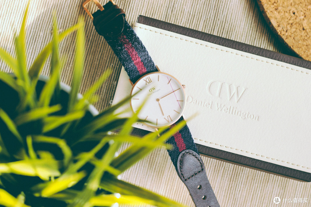 平凡却又不平凡：Daniel Wellington 的简单爱