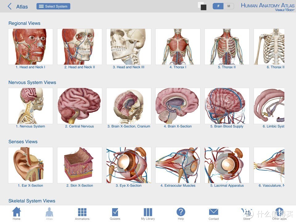 献给期末复习到晕倒的医学生：关于人体解剖系统学习神器 — Human Anatomy Atlas-3D