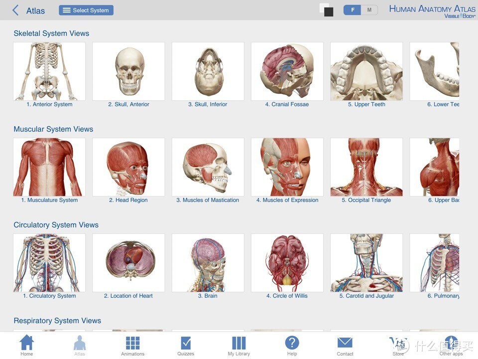 献给期末复习到晕倒的医学生：关于人体解剖系统学习神器 — Human Anatomy Atlas-3D