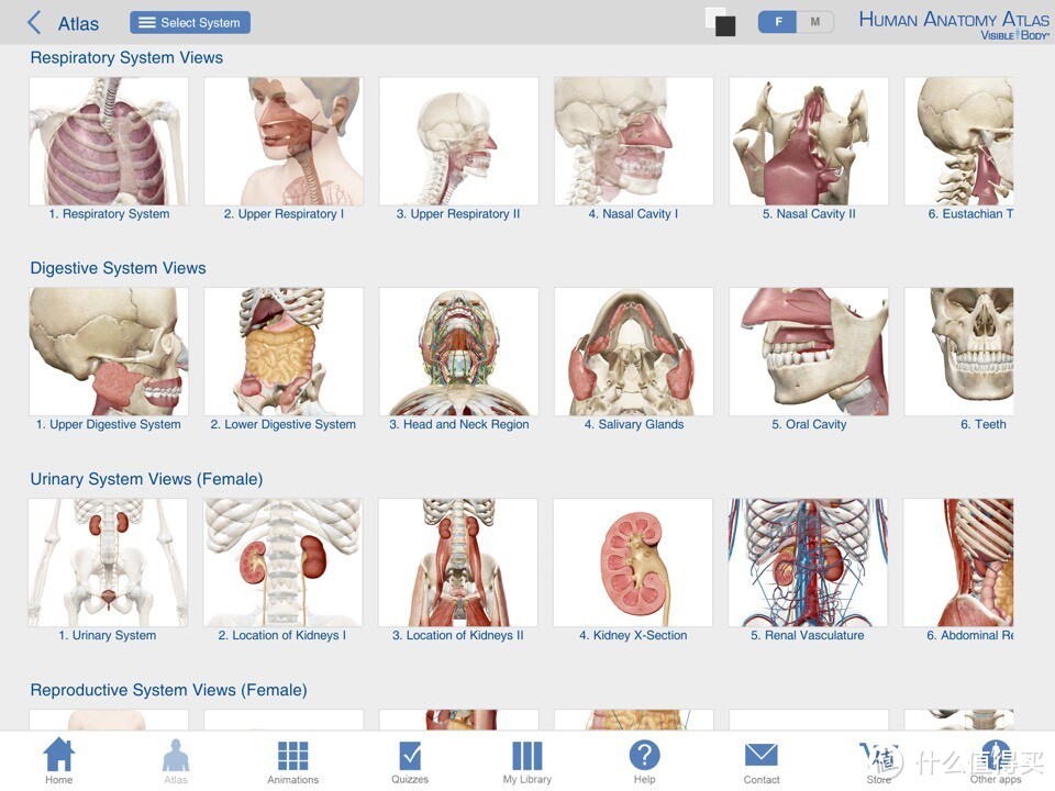 献给期末复习到晕倒的医学生：关于人体解剖系统学习神器 — Human Anatomy Atlas-3D