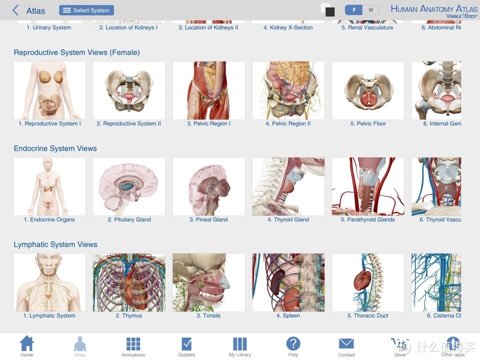 献给期末复习到晕倒的医学生：关于人体解剖系统学习神器 — Human Anatomy Atlas-3D