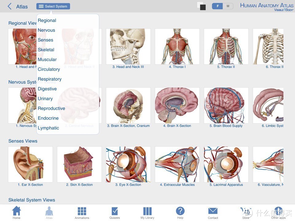 献给期末复习到晕倒的医学生：关于人体解剖系统学习神器 — Human Anatomy Atlas-3D