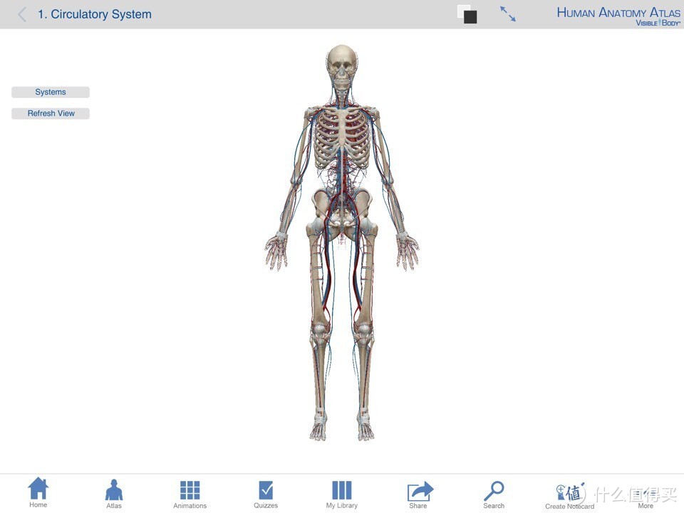 献给期末复习到晕倒的医学生：关于人体解剖系统学习神器 — Human Anatomy Atlas-3D