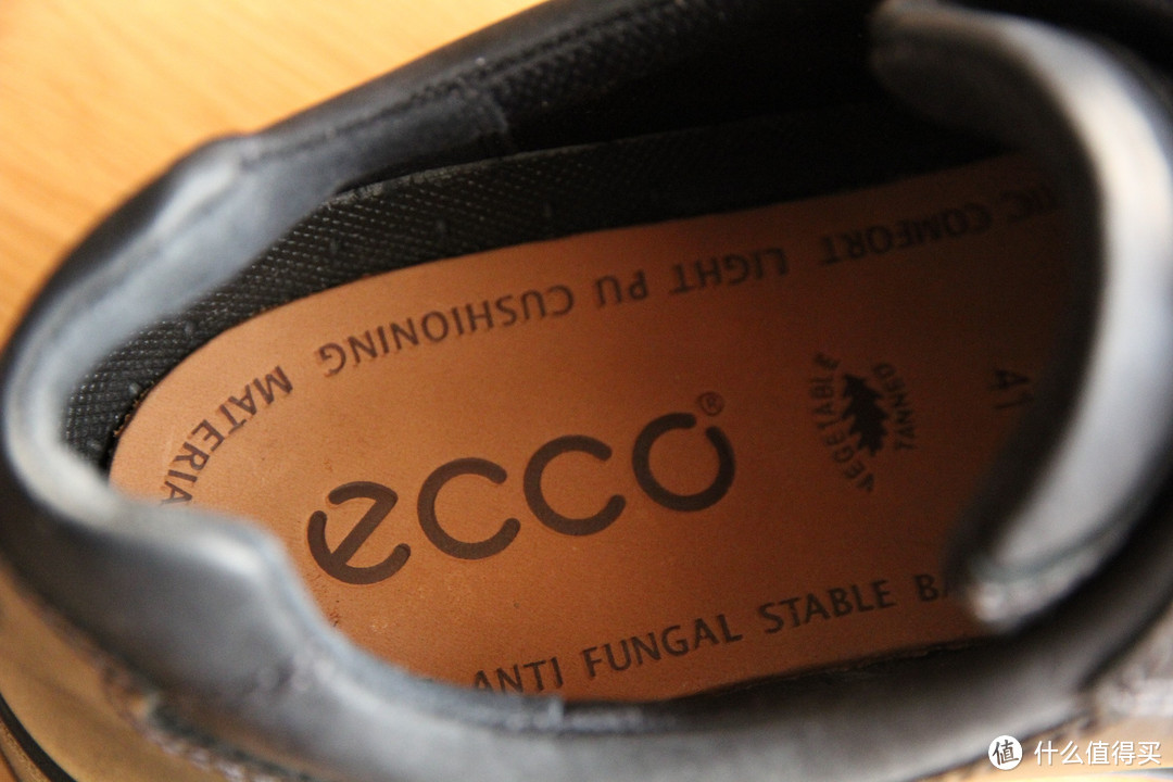 ECCO 爱步 Track 6 GTX Plain Toe Tie 男款系带休闲鞋，附美亚发错货的经历
