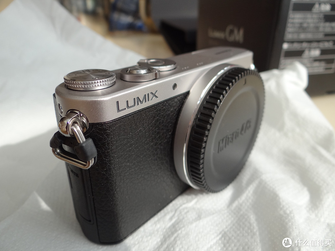 初入社会的廉价之选：Panasonic 松下 Lumix DMC-GM1