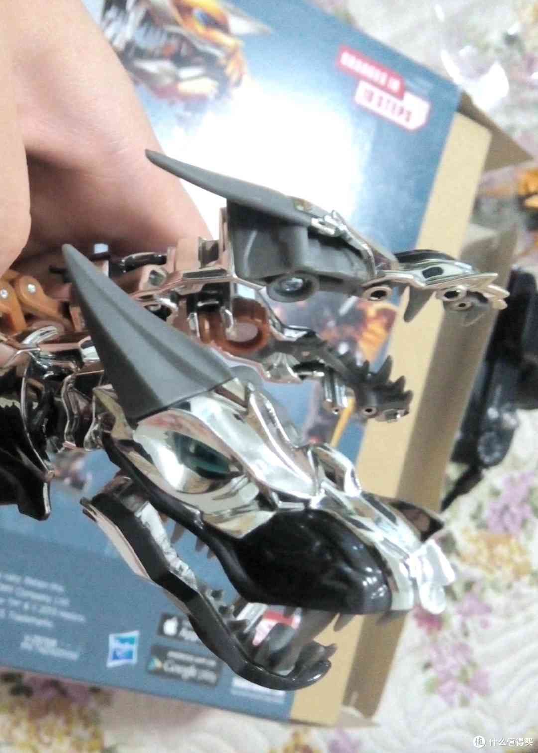 3-4两侧一样,头型出来了 3-4两侧一样,头型出来了