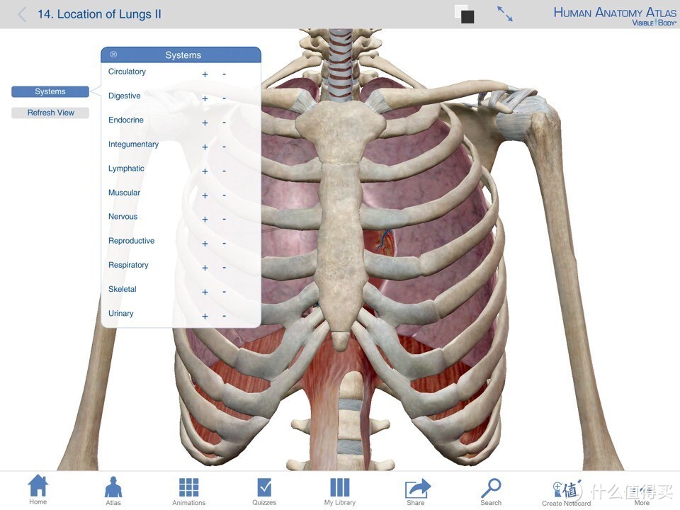 献给期末复习到晕倒的医学生：关于人体解剖系统学习神器 — Human Anatomy Atlas-3D