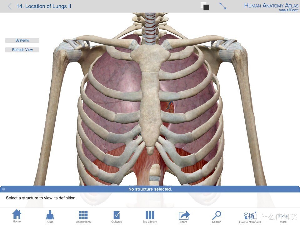 献给期末复习到晕倒的医学生：关于人体解剖系统学习神器 — Human Anatomy Atlas-3D