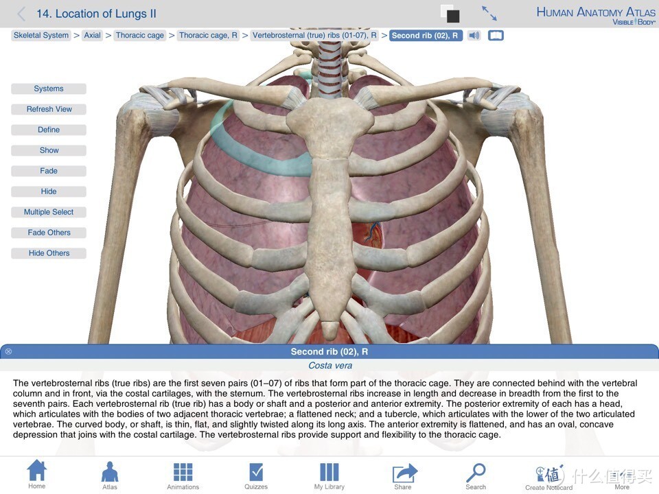 献给期末复习到晕倒的医学生：关于人体解剖系统学习神器 — Human Anatomy Atlas-3D