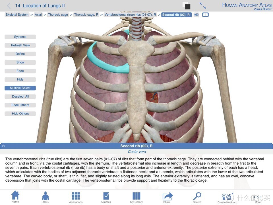 献给期末复习到晕倒的医学生：关于人体解剖系统学习神器 — Human Anatomy Atlas-3D