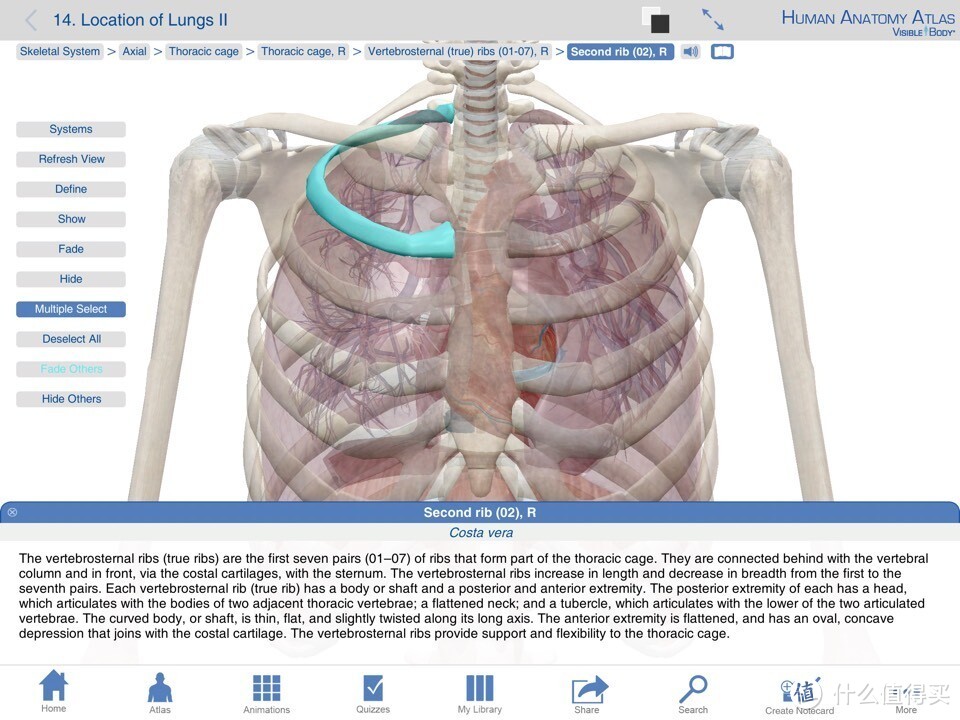 献给期末复习到晕倒的医学生：关于人体解剖系统学习神器 — Human Anatomy Atlas-3D