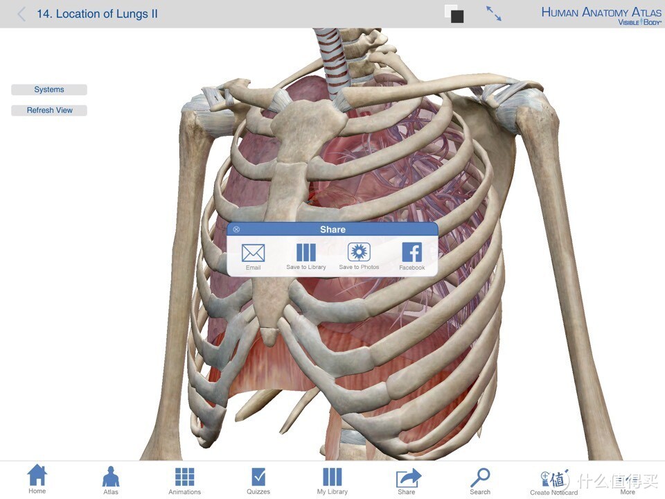 献给期末复习到晕倒的医学生：关于人体解剖系统学习神器 — Human Anatomy Atlas-3D