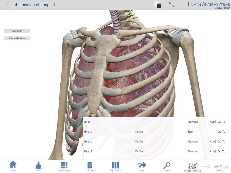 献给期末复习到晕倒的医学生：关于人体解剖系统学习神器 — Human Anatomy Atlas-3D