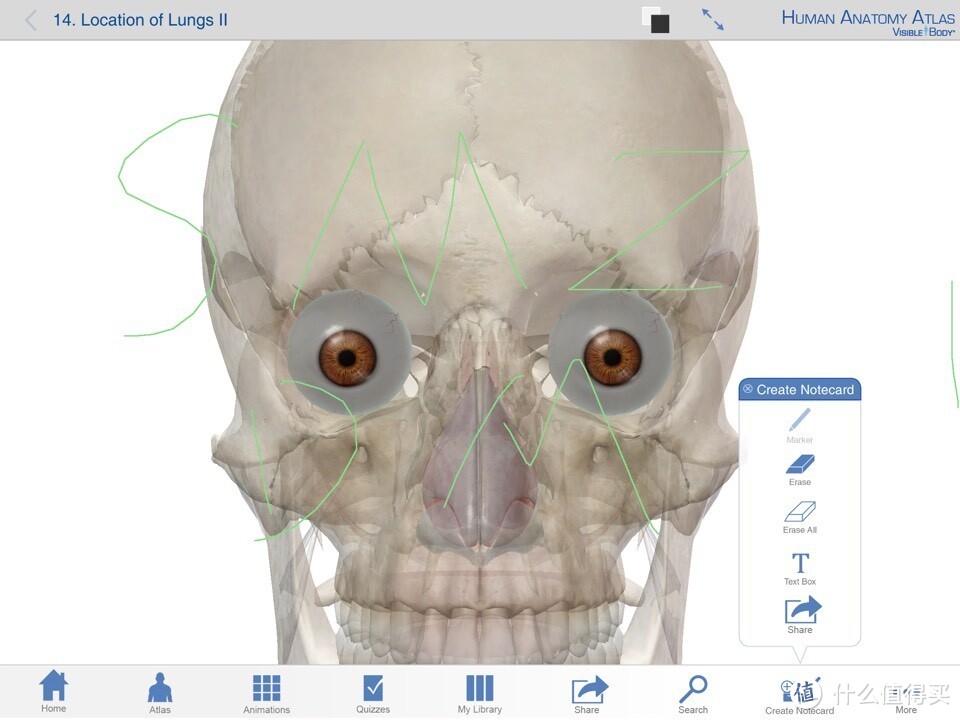 献给期末复习到晕倒的医学生：关于人体解剖系统学习神器 — Human Anatomy Atlas-3D