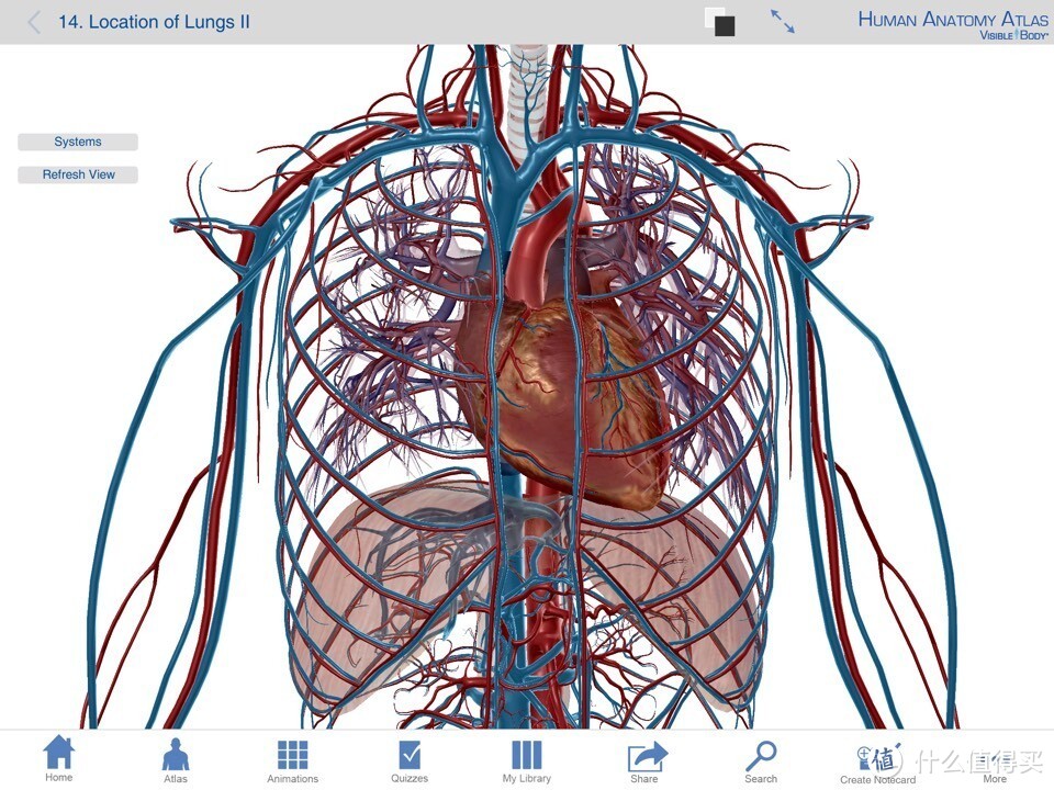 献给期末复习到晕倒的医学生：关于人体解剖系统学习神器 — Human Anatomy Atlas-3D