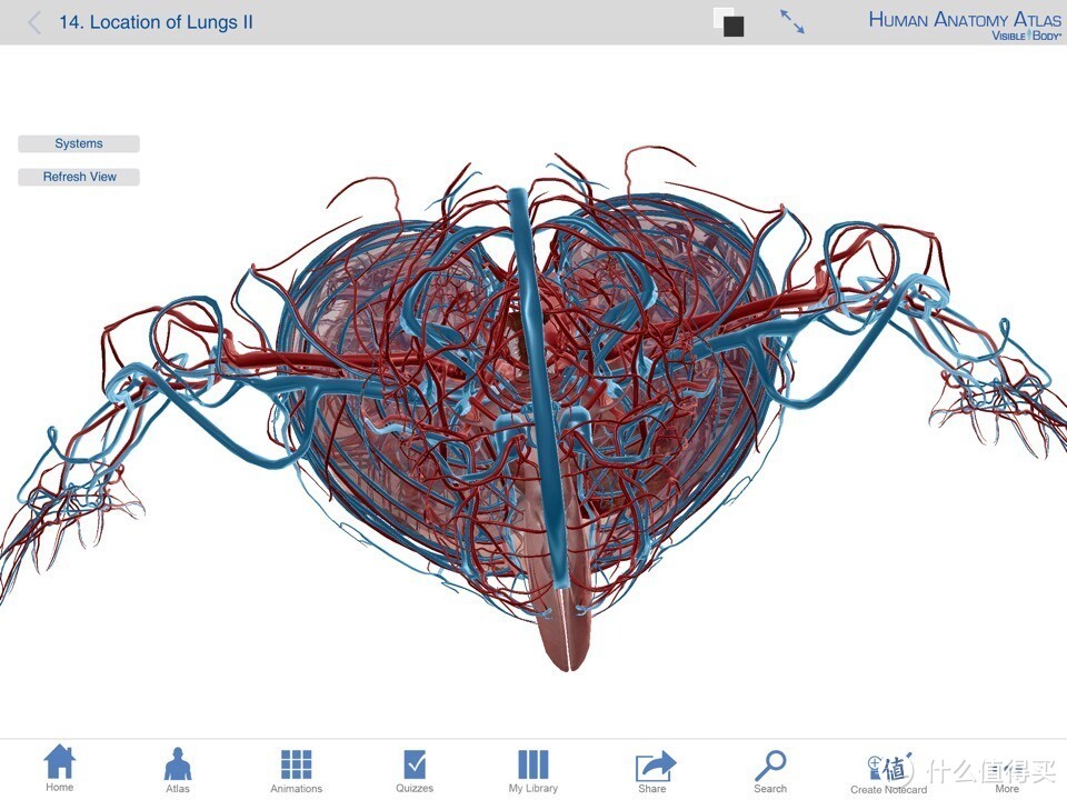 献给期末复习到晕倒的医学生：关于人体解剖系统学习神器 — Human Anatomy Atlas-3D